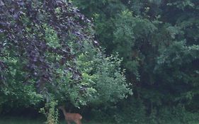 Ringslund B&B